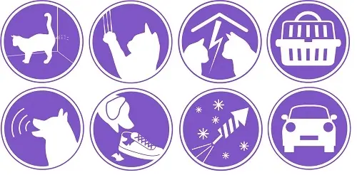 No Stress situaties hond kat