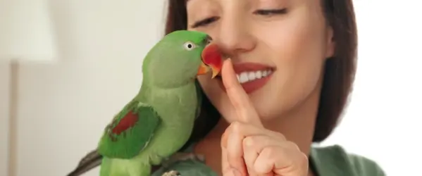 Beaphar - Choosing the right food for your bird