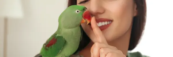 Beaphar - Choosing the right food for your bird